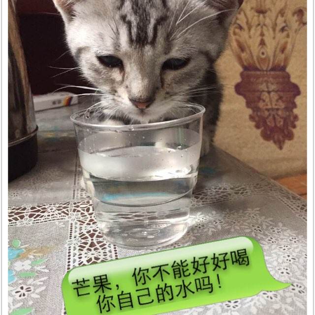 房产证是男方名字女方户口能落过来吗